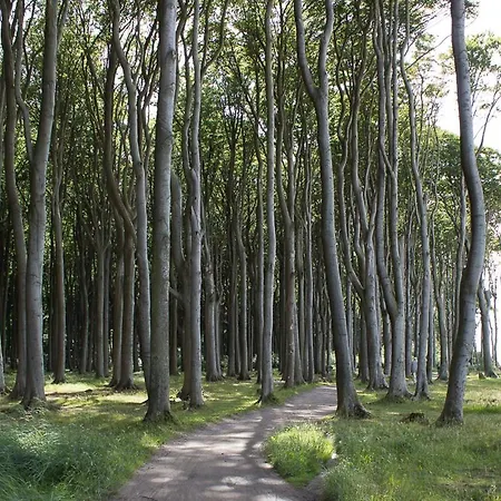 Seewind Nienhagen (Mecklenburg-Vorpommern)