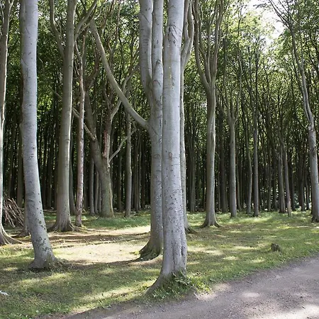 Apartment Seewind *